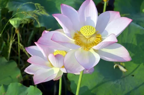 夸奖摄影水平高的句子文案