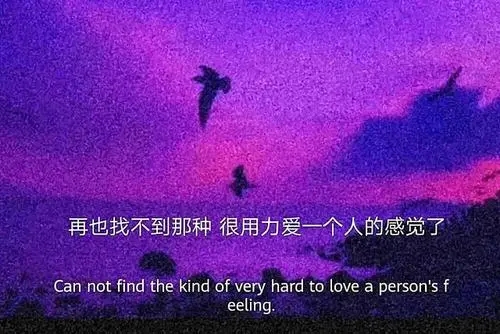 温柔到爆的神仙句子文案作文开头