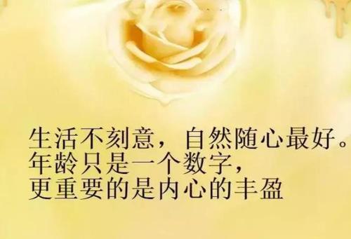 调整好心情经典句子文案