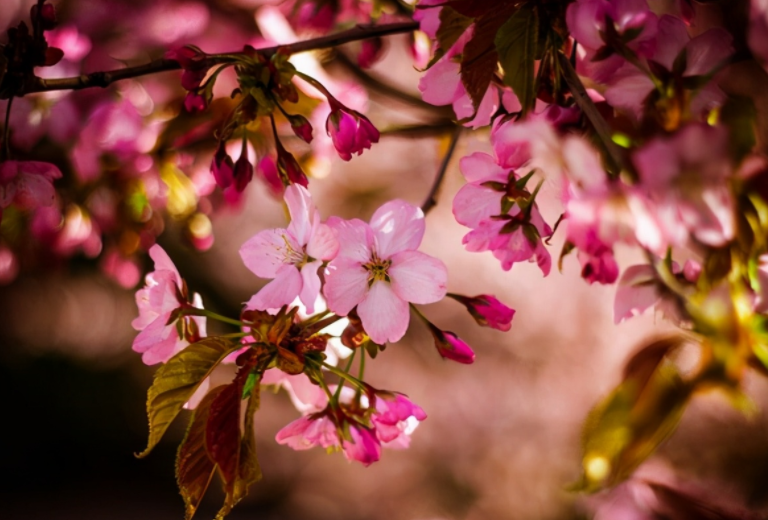 给自己的一些简短句子文案