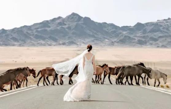 优美的英文文案短句