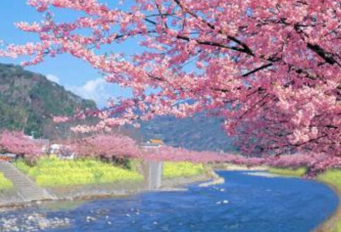 关于环境描写的好句文案