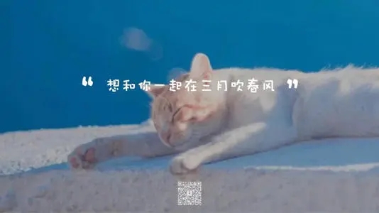 三月发朋友圈的文案