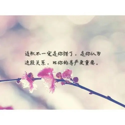 关于爱的诗句文案