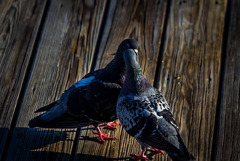 爱情悲伤句子文案短句唯美