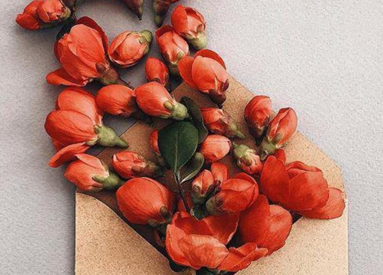 我喜欢你经典语录文案趣味