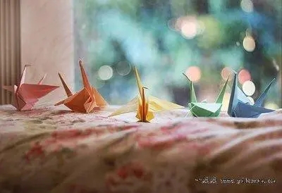 关于生活的经典语录文案