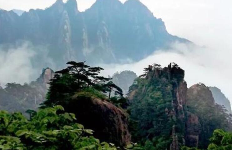 描写人性丑陋的古诗词