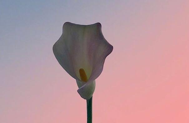 魅力女人早安心语