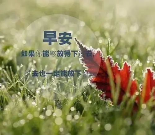 关于雨天的早安正能量的句子文案