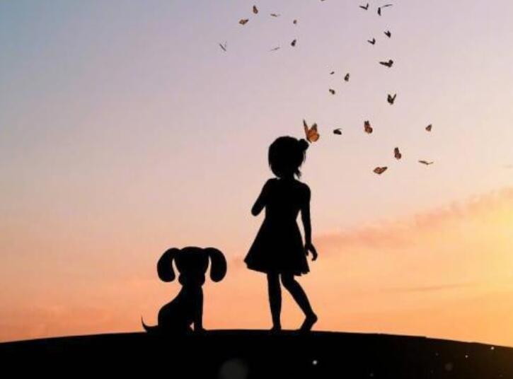 关于看透一个人的真面目的句子文案