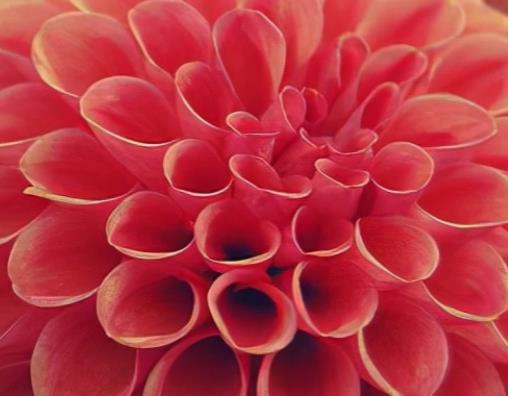 成功励志的句子文案简短