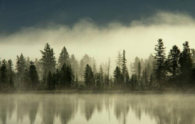 名人名言语录文案