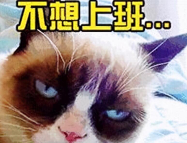 结束一周工作的朋友圈