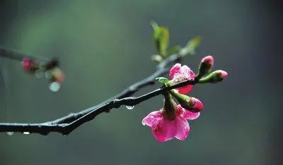 描写微雨的唯美句子文案