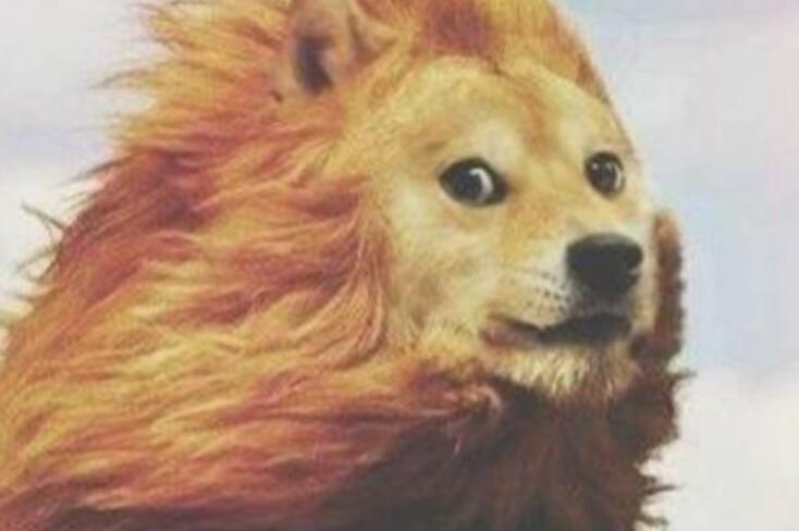 形容风很大幽默的句子文案