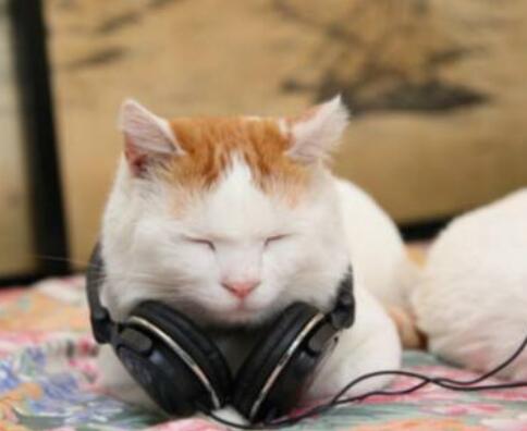 享受音乐的说说文案