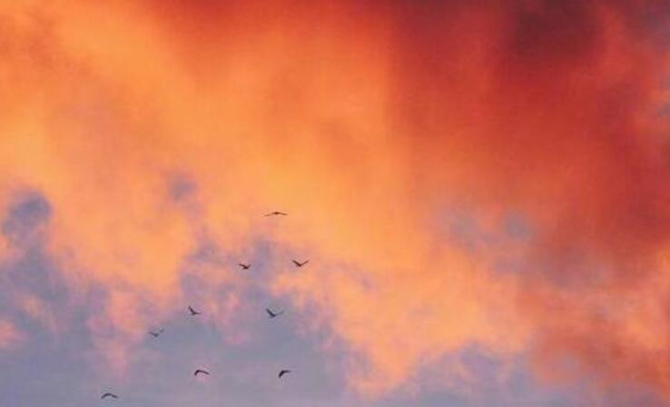 形容一个人性格死性不改的话