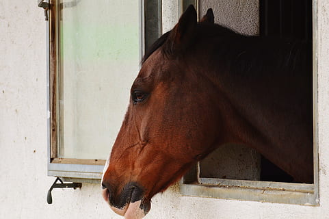 情侣早安肉麻短句