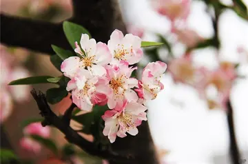 五一不放假的唯美句子文案