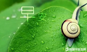 微信早安问候语正能量简单