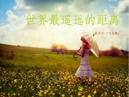 最遥远的距离经典语录文案