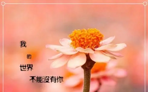 感悟人生的经典句子文案走心