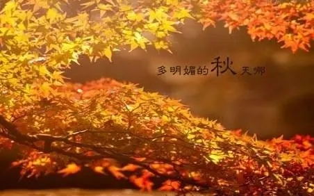描写秋天的句子文案