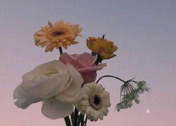 最美早安心语短句