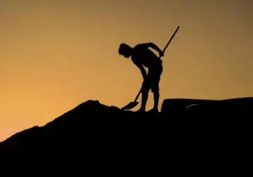 赞劳动的汗水的句子文案