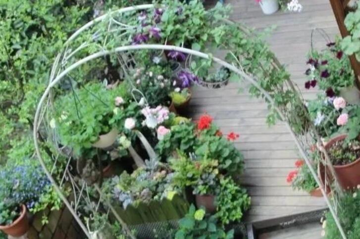 描写花园的优美句子文案