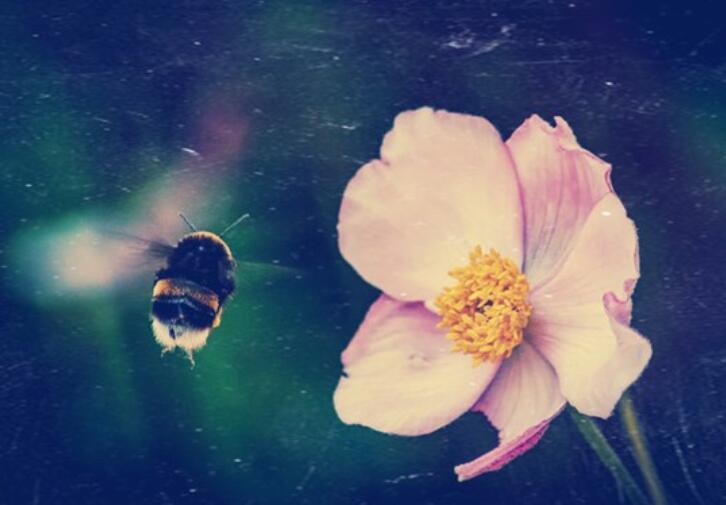 很现实的人生感悟说说文案致自己