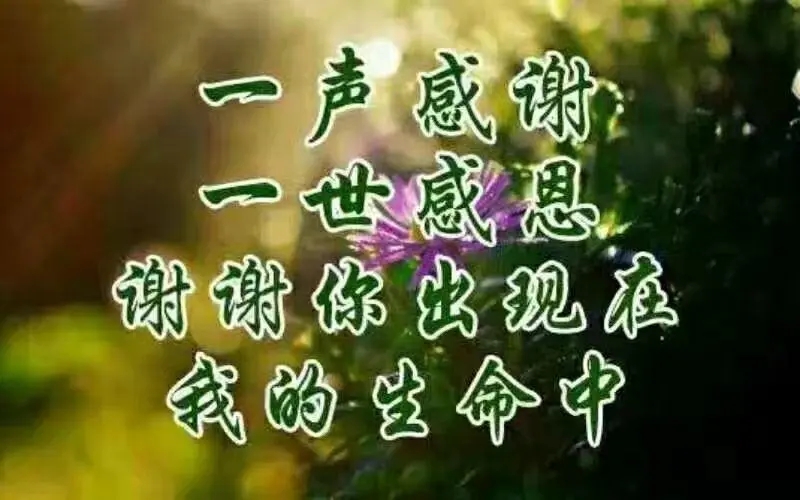 遇见是一种缘分的短语