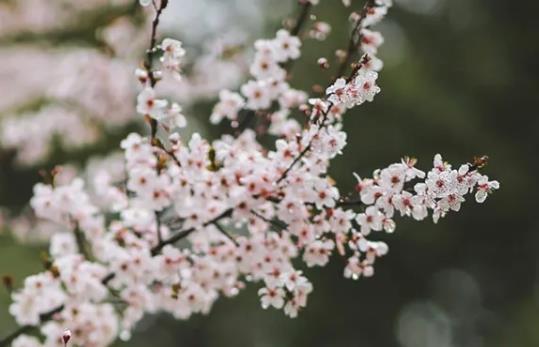 生气心情不爽的句子文案