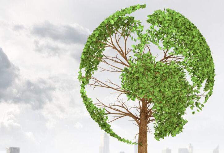 小学生保护环境的句子文案