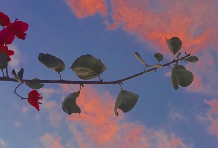 朋友圈高端文案爱情