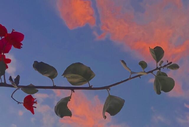 抖音甜甜的恋爱文案