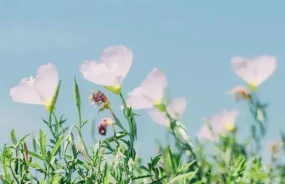 难过的诗词心情不好