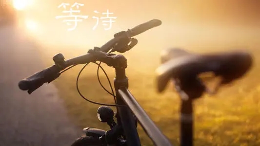 关于等待的句子文案