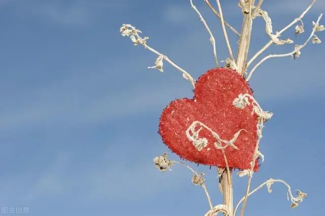 英语优美句子文案