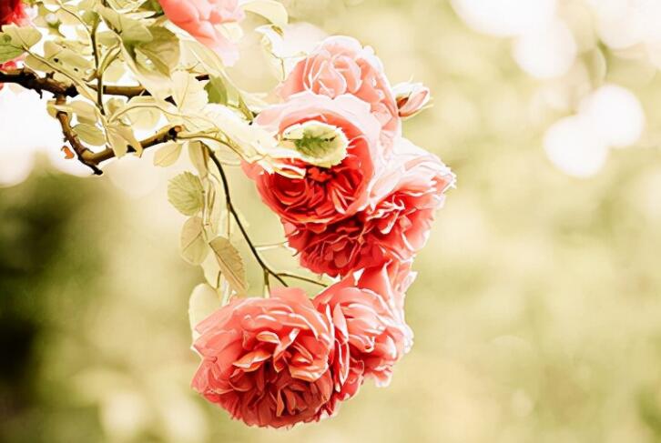 最精辟的微信励志句子文案