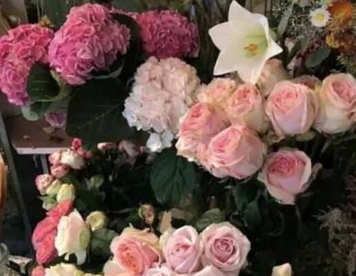 关于治愈的文案