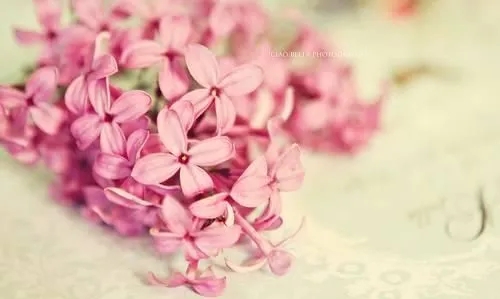 阳光微笑正能量的句子文案