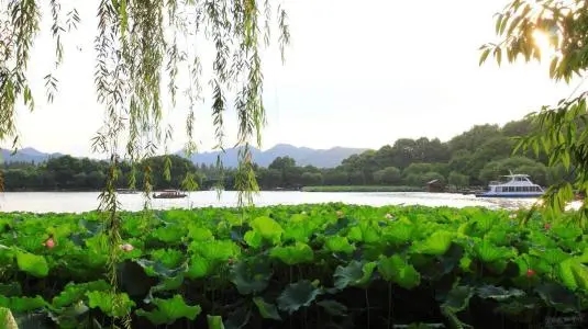 夏天优美句子文案摘抄简短