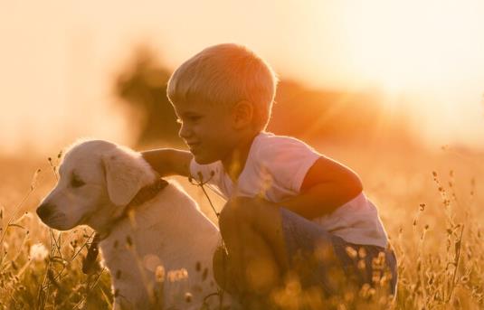 小学一年级读书笔记摘抄