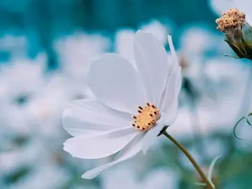 人生好累感悟句