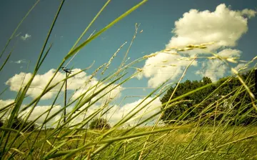 高中摘抄优美句子文案