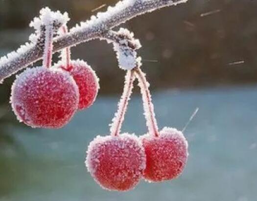 带茹字的唯美句子文案