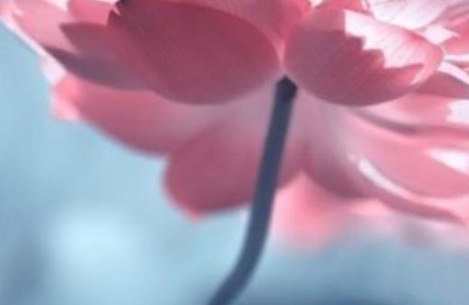 抖音简短最火的句子文案