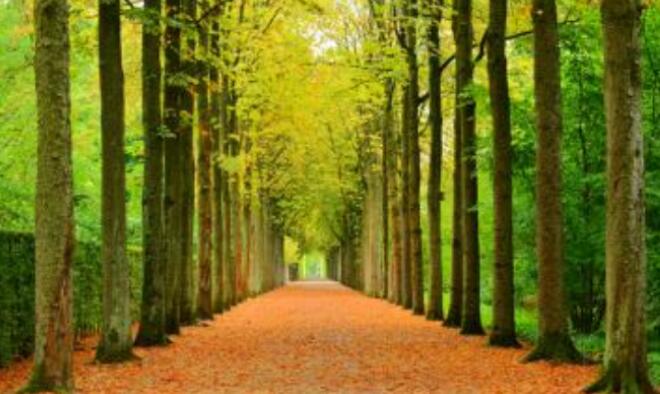 与性格有关的名言